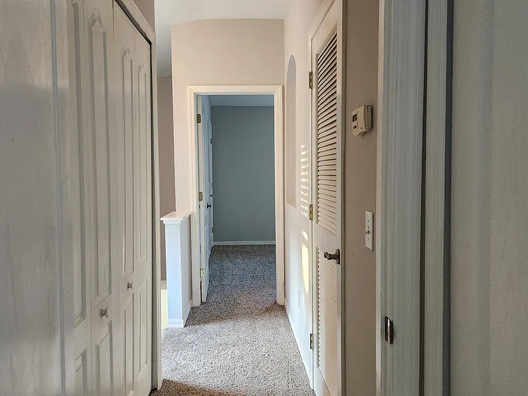15702 Fishhawk Falls Dr — Photo 15