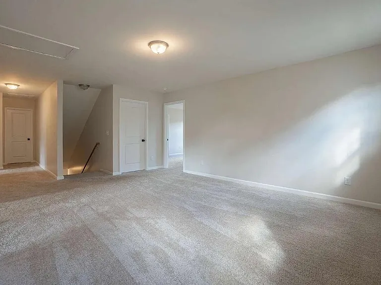 244 Savannah Wood Rd — Photo 23