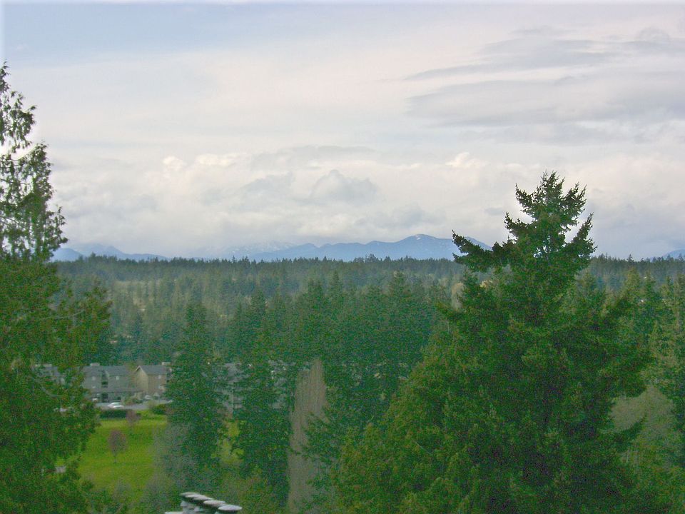 View on an overcast day
