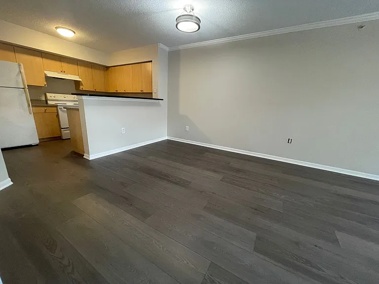 8617 River Homes Ln #3203 — Photo 4