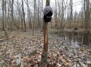 10231 Will Allman Rd, Georgetown, OH 45121