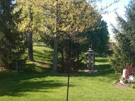 3rd image of 574 Morningstar Dr
