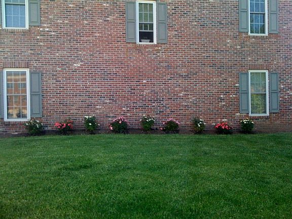 Side Yard