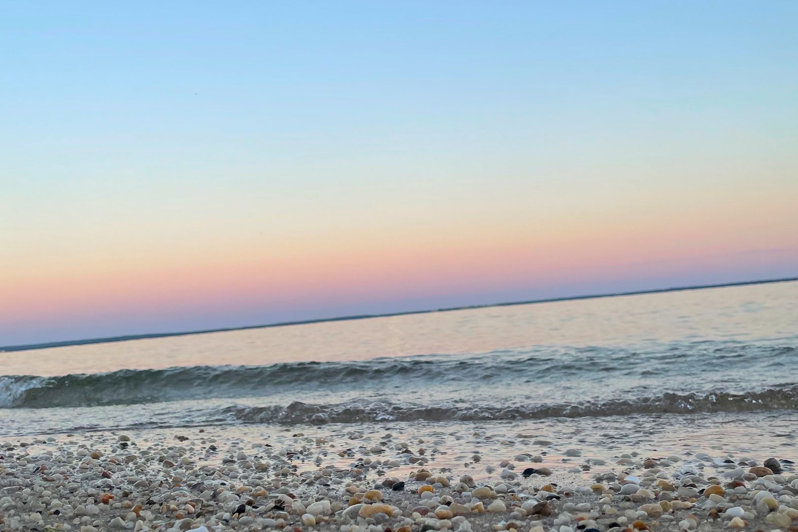 Professional Photos Coming Soon