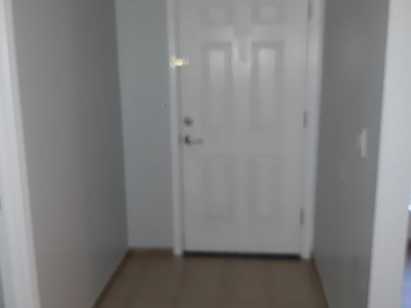 Entry Door
