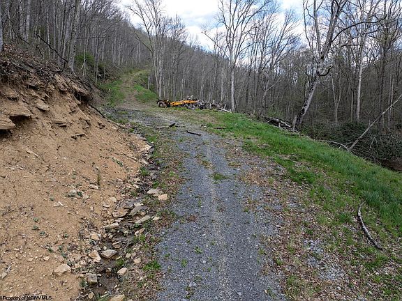 3rd image of LOT 1 Squires Run Rd