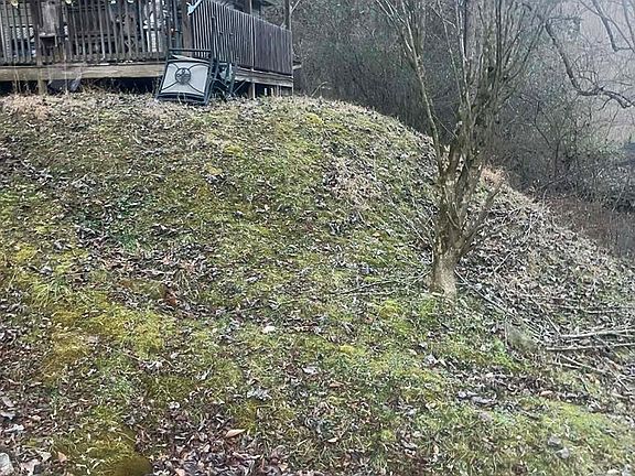 4th image of 226 Madisons Frk