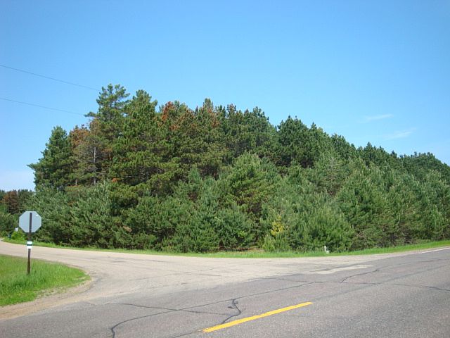 1st image of Xxxxx 41st Street