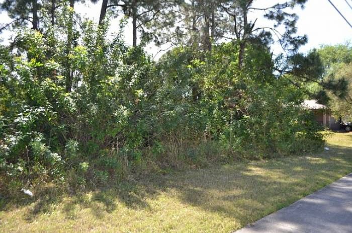 Lot at 266 Emerson Dr.