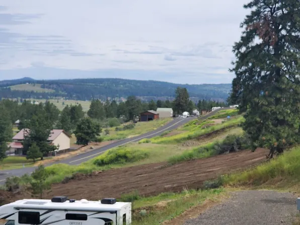 42580 Buckhorn Rd N, Deer Meadows, WA 99122