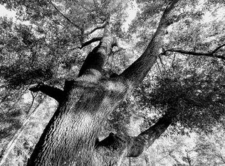 5930 Gillum Rd, Milton, FL 32570