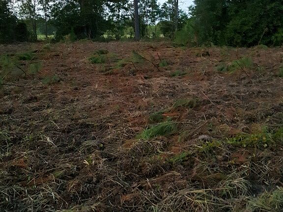 5th image of Balderas Rd