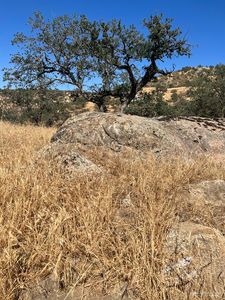 0 Comanche Point Rd Lot 3, Tehachapi, CA, 93561
