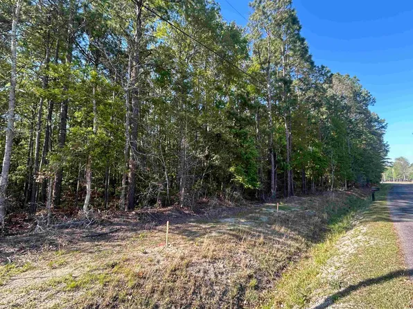 TBD Buck Dr., Georgetown, SC 29440