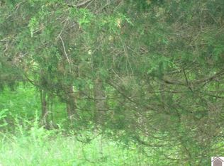 Unit 2 Sec #2-LOT 158, Eddyville, KY 42038