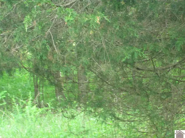 Unit 2 Sec #2-lot 158, Eddyville, KY 42038