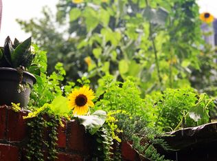 1119 Montello Ave NE #BASEMENT, Washington, DC 20002