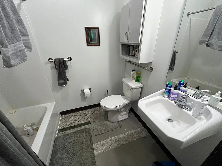 521 W 2nd Street - Leijona — Photo 27