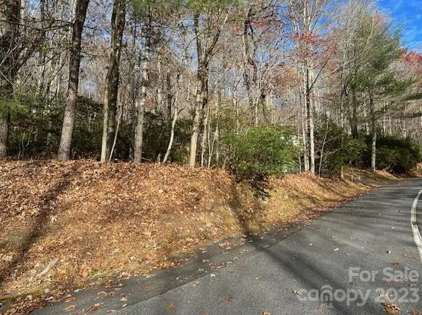 Echota Ln, Brevard, NC 28712