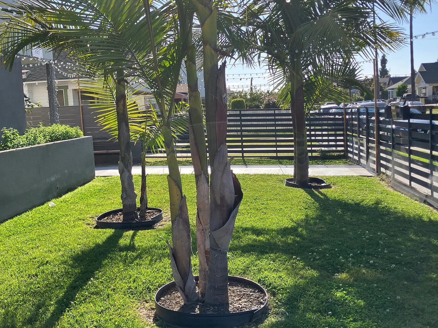 5 bed, 1600 sqft, $4,500 — Photo 3