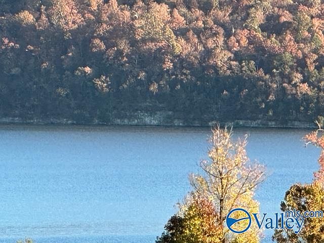 2nd image of 91 Heritage Dr