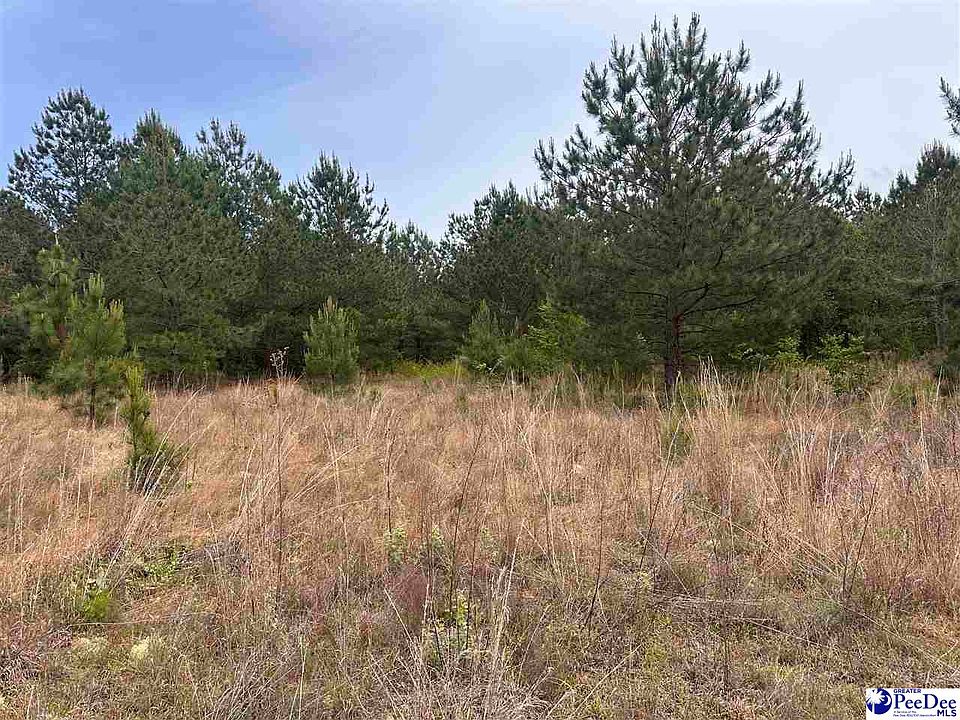 1st image of TRACT 3 Patrick Hwy