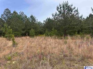 TRACT 3 Patrick Hwy, Hartsville, SC 29550