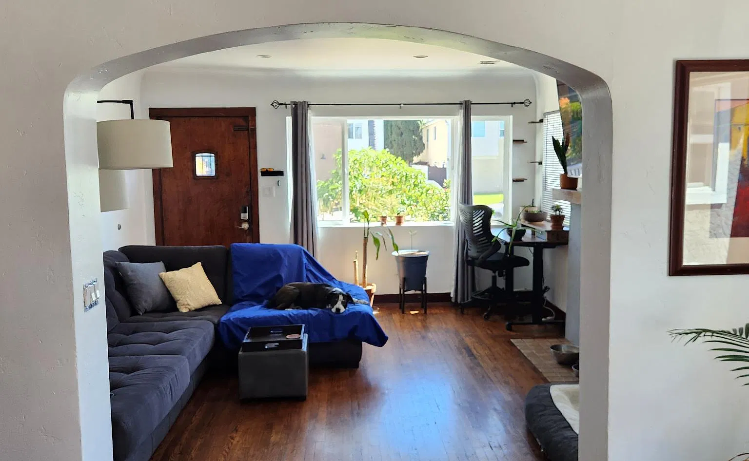 3136 Ivy St — Photo 4