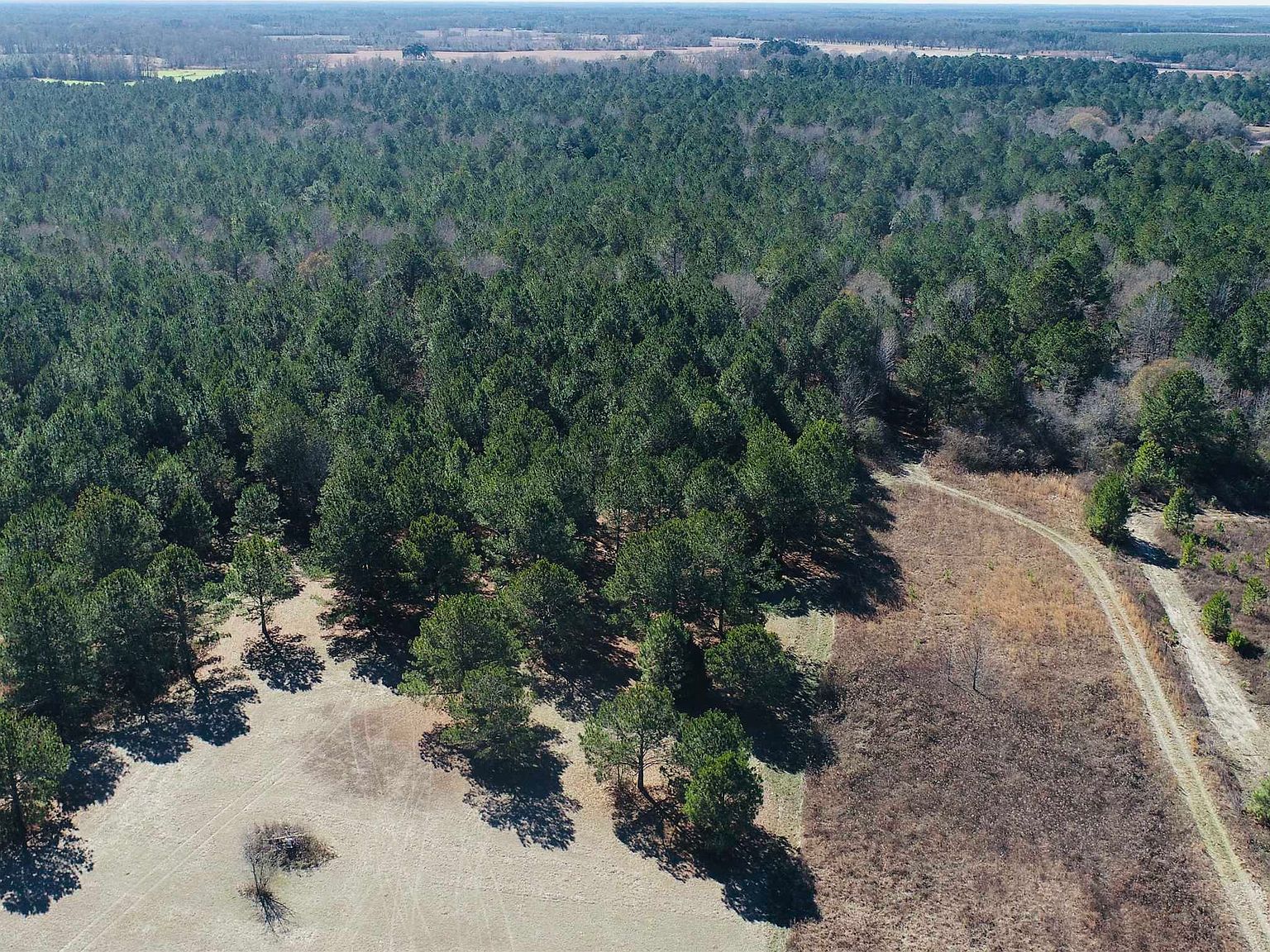 0 Brady Rd, Leslie, GA 31764 Zillow