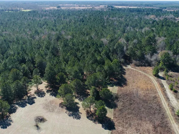 0 Brady Rd, Leslie, GA 31764