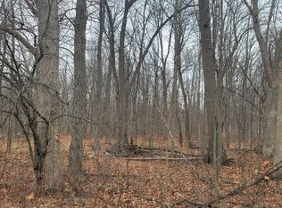 PARCEL Dildine Rd #B, Ionia, MI 48846