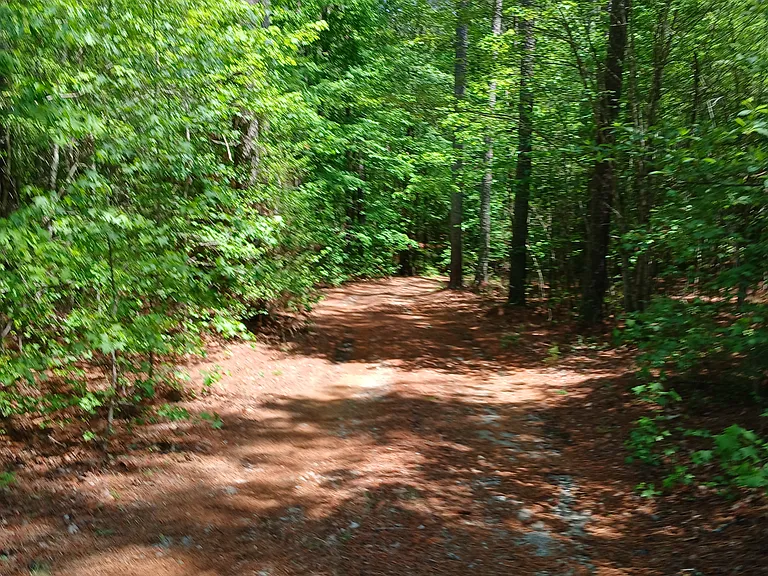 More driveway to house