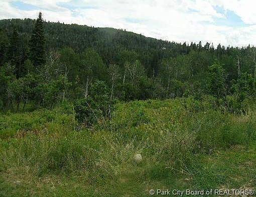 5th image of 2227 S Porcupine Cir