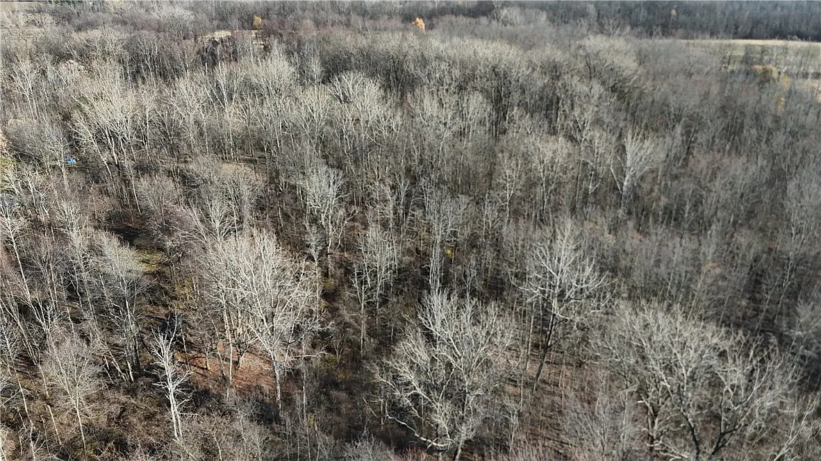 0 Lynch Rd Lot 29 photo 1