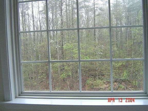 Big windows to the forest
