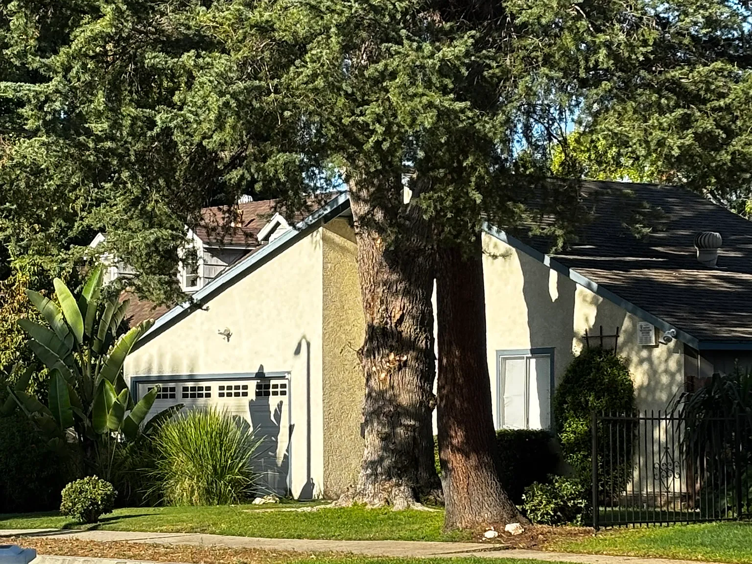 4 bed, 1777 sqft, $4,000 — Photo 1