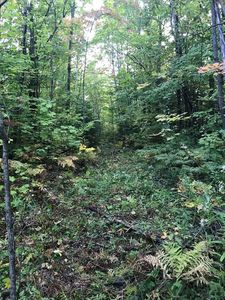 0 Plank Rd, Ellenburg Depot, NY, 12935