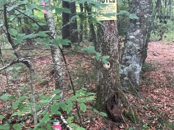 0 Olney Keach Rd, Harrisville, RI 02830