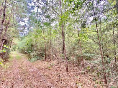 1672 County Road 4800 S, Warren, TX, 77664