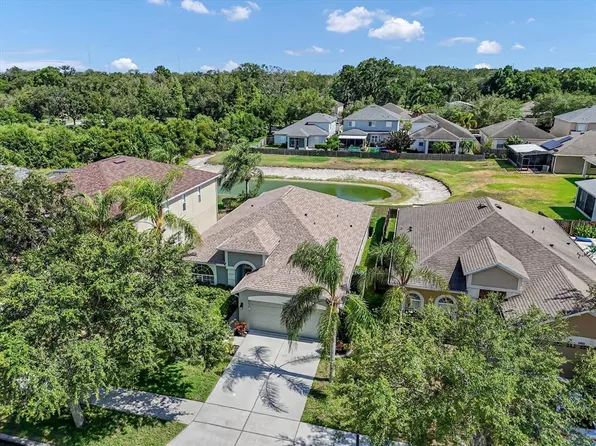 11427 Dutch Iris Dr, Riverview, FL 33578