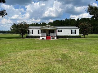 326 Lee Rd, Ray City, GA 31645