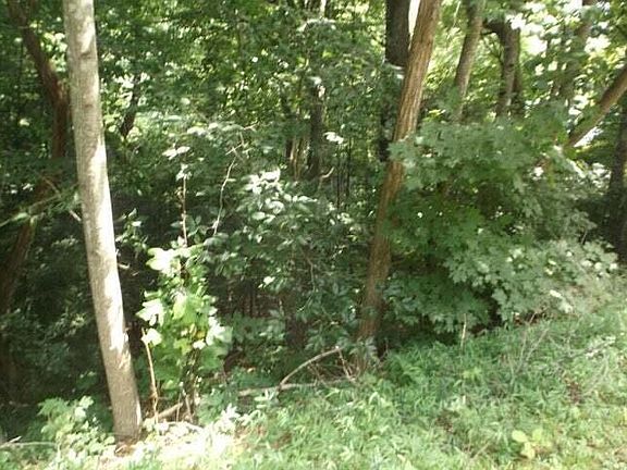 2nd image of Township Road 5 Strawberry Ln