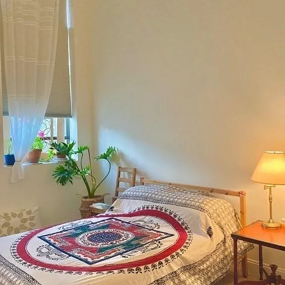 58 Almont St #5 — Photo 6