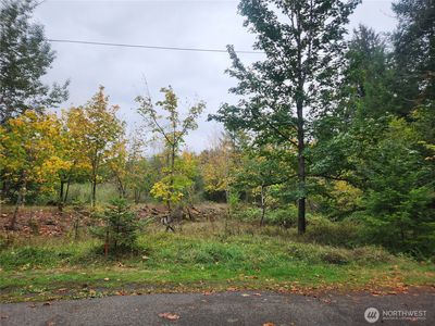 0 Lot 12 Slalom Way, Packwood, WA, 98361