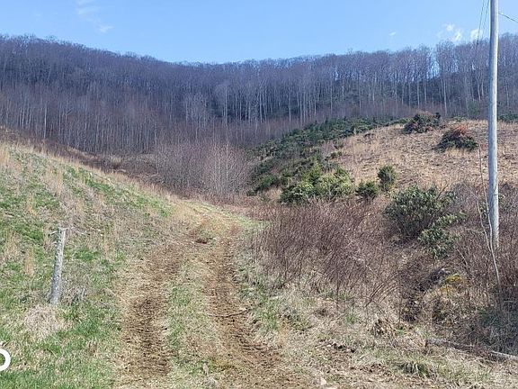 4th image of 163 Whitetail Ln