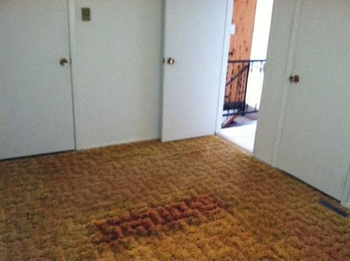 3rd image of 41449 N Park Dr