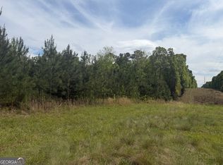 4 George Milling Rd, Cuthbert, GA 39840