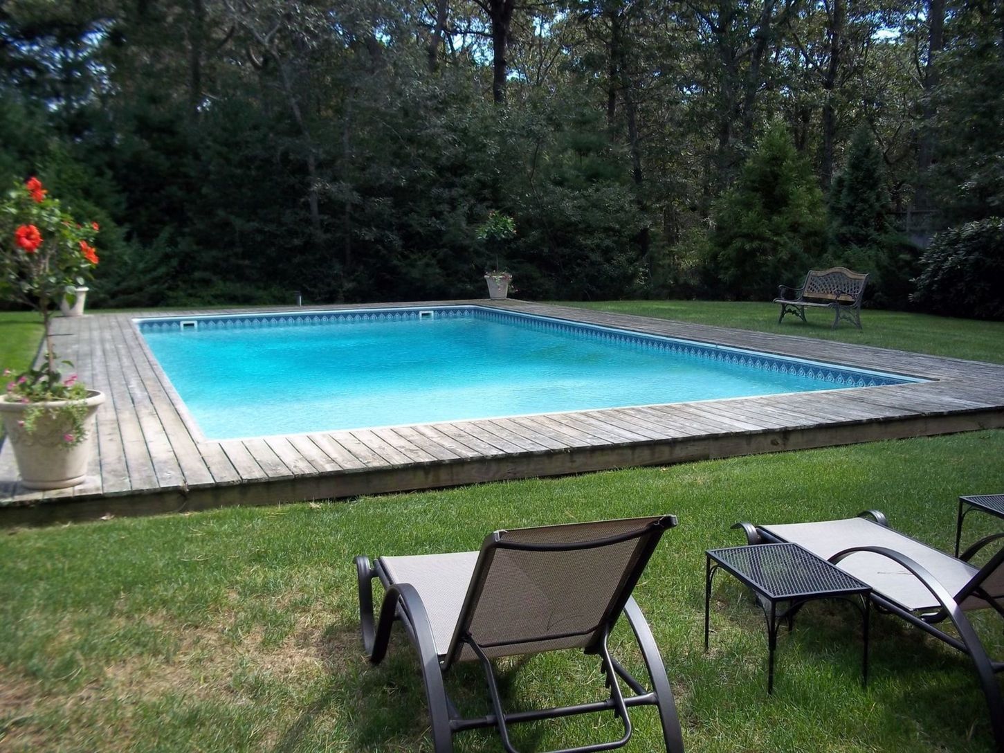 large yard, heated pool