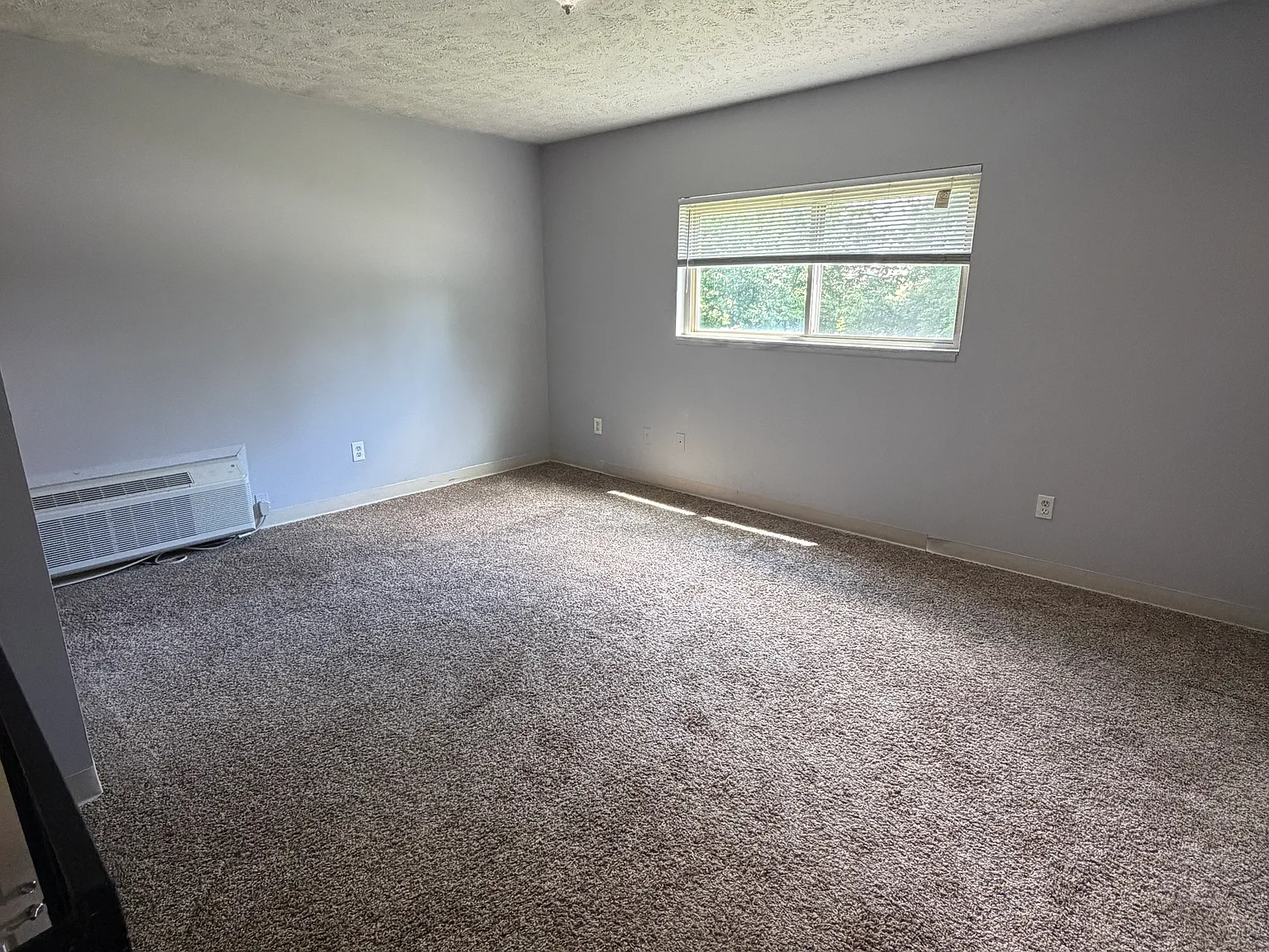 1 bed, 700 sqft, $1,050 — Photo 4