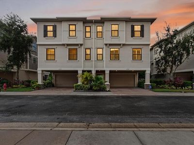 6222 Anhinga Pl, Tampa, FL, 33615